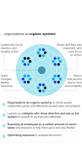 Organizational Transformation For An Agile Telecom Mckinsey