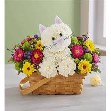Send plants and potted trees online like bonsai, orchids, & more. 1 800 Flowers Fabulous Feline Seattle Wa