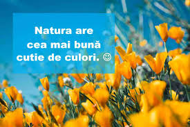 Maybe you would like to learn more about one of these? Cele Mai Frumoase È™i Inspirate 140 Statusuri È™i Citate Despre Flori
