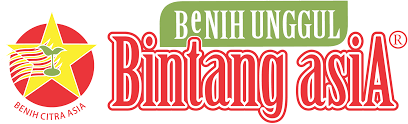 @maulanaijal akun loker pertama di jember (since 2016) ️ kalisat city. Bintang Asia