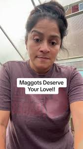 Benefits of Relocating Houseflies