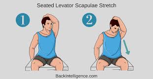 Thankfully, a locked facet joint is usually a rare occurrence. Cervical Facet Joint Pain Treatment Exercises For Pain Relief