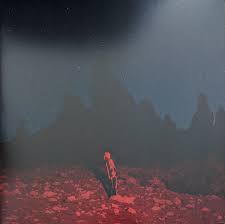 The second solo album from us indie rock artist phoebe bridgers, available on indie store exclusive blue green swirl vinyl. Phoebe Bridgers Punisher 2020 Seaglass Wave Vinyl Discogs