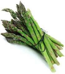 Image result for Asparagus pendulus