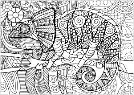 Printable lizard coloring page for kids. Chameleons And Lizards Coloring Pages For Adults