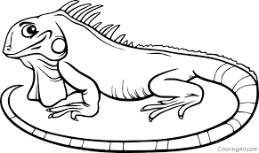 Download this running horse printable to entertain your child. Very Simple Iguana Coloring Page Coloringall