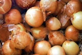 Onion bulbs are planted in the cool season and usually cultivated during the late winter. Pin On Cebollas
