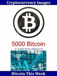 Latest btc to usd rates. Bitcoins Bitcoinmininghardware Cryptocurrency Bitcoin Mining Bitcoin