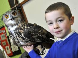 Children come face-to-face with birds of prey