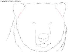 Bear Head Bear Head Drawing Tutorial Easy Bear