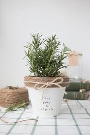 Fill the pot or planter. Joanna Gaines Inspired Diy Farmhouse Flower Pots The Cottage Market