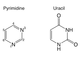 Nasa Scientists Cook Up Building Blocks Of Life In Lab Nasa Science Scientist