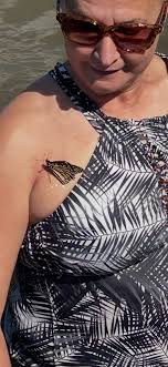 Friendly river encounter