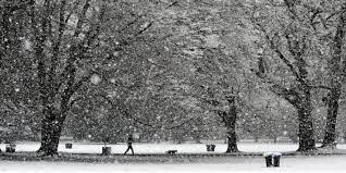 Die welt abseits des computers. Schneit Es In Dieser Woche In Niedersachsen
