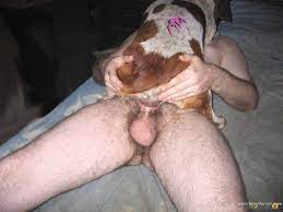 Man cumming in female dog - cum.news