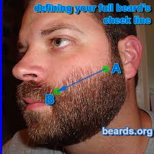 Right down to your diet there are many aspects of your routine that can make a big impact on how tame or wild that beard is going to be. Want To Make Your Beard Look Great Trim Your Cheek Line Imgur