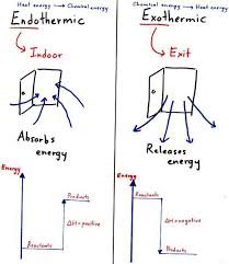 Difference Between Exothermic Endothermic We Walked Around And Used Baggies To Mix Chemicals To See I Teaching Chemistry Chemistry Lessons Chemistry Classroom
