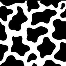 Black And White Cow Print Wallpaper Pin On Favourite Things