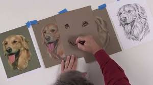 Sneak Peek Learn How To Draw A Dog S Nose In Colored Pencil Youtube Learn to choose the right colours and apply coloured pencil effectively. sneak peek learn how to draw a dog s nose in colored pencil