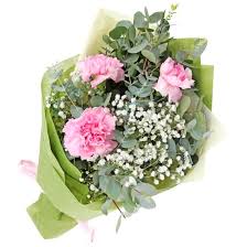 Arrangements are with white chapel funeral home, weedsport. Carnations And Gypsophila