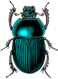 Pin By Angi Overstreet Bailey On Tattoos Beetle Art Beetle Tattoo Insect Art Amazing how the universe can create an infinite number of amazing creatures. beetle tattoo