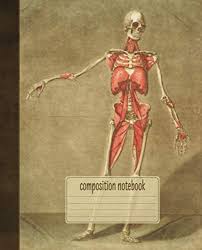 Muscular anatomy of the front of the body. 100 Best Human Body Books Of All Time Bookauthority
