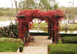 We did not find results for: Everything You Need To Know About Adding A Garden Arbour Houzz Nz