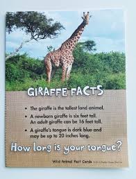 I hope it was fun reading these animal facts for kids. Learning About Giraffes Share Remember Celebrating Child Home Giraffe Facts Fun Facts About Giraffes Animal Facts For Kids