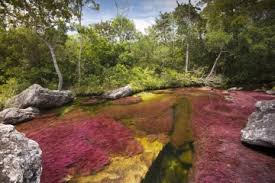 Pero antes de todo esto les diré como llegar a caño cristales por su cuenta. Cano Cristales Consejos Utiles Para Visitarlo