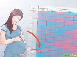 3 Ways To Use The Chinese Birth Gender Chart For Gender Selection