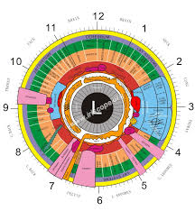 Heres A Quick Way To Left Eye Iridology Chart Iriscope