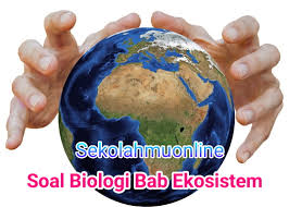Soal essay tentang lapisan bumi dan jawabannya. Soal Biologi Dan Jawabannya Cuilan Ekosistem Soal Pg Essay Biologi Kelas X Sma Ma Idn Paperplane