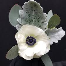 Suellen in cape coral made my flowers beautiful. Anemone Boutonniere Weddings Events