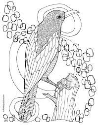 Each letter of the alphabet has been illustrated with a flora nad fauna theme. Flora And Fauna Coloring Sheets Short Leg Studio