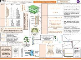 We did not find results for: Aqa Gcse Organisation Part 3 Ppt Download