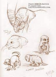 Daily Animal Sketch Baby Asian Elephant And Meerkats Last Of The Polar Bears
