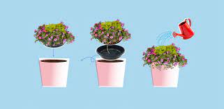 We did not find results for: This Plant Delivery Service Will Instantly Boost Your Curb Appeal Better Homes Gardens