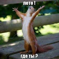 Осень на нас ветром шипит. Leto Leto Gde Ty Aleksandrina Prokofeva 2 Stihi Ru