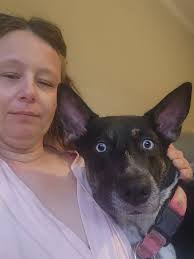 Hi fwendz! ⚓️ here. Early diz morning momma took me to my ortho consult. Da  dawgtor made me walk back and forth outside in da parking lot a few times  and den