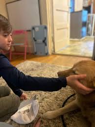 🐾HUSKY UPDATE 🐾 There have been a lot of questions about who is who with  the Huskies, and how the ones that have been caught, are doing! They are  doing fabulous !