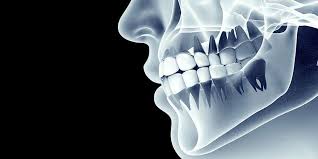 Berikut adalah penjelasan mengenai rangka manusia beserta fungsi rangka manusia mandibula atau rahang bawah yang berfungsi untuk mendukung bagian gigi atas dan tulang ini bisa digerakan. 5 Fungsi Tulang Rahang Atas Tak Hanya Untuk Mengunyah Saja