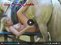 سكس نيك حيوانات حصان يفشخ بنت شقراء سكس نيك حيوانات xnxn مجاني