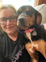 Lost Dog Nova in West Asheville