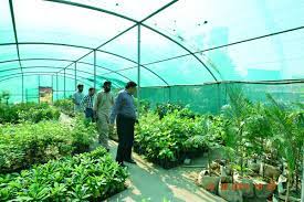 PHA Rawalpindi on Twitter: "DG PHA Rawalpindi, Shafqat Raza visited Shah Najaf Park and Nursery and Inspected Cleanliness &amp; Anti Denge activities. DG PHA also planted a tree at Shah Najaf Park,