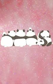 Check spelling or type a new query. Pandas Via Tumblr Image 3612074 On Favim Com