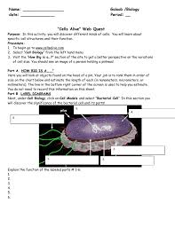 Label_animal_cell_key.docx label_animal_cell.docx label_plant_cell_key.docx definition of plant and animal cell organelle are provided to be used with the cell description cell part unlabeled animal cell diagram and key. Cell Webquest Bio With Answers 2010