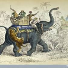 Fig. . Elephant of India caparisoned ...