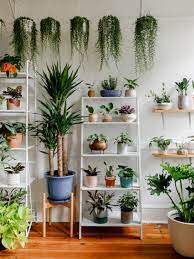 Check spelling or type a new query. Keep Indoor Plants Alive With Tips From Botanic Designer Jarema Osofsky Architectural Digest