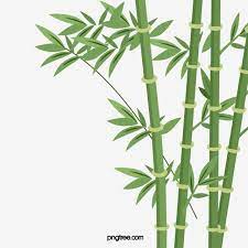 Cartoon Bamboo Picture Bamboo Silhouette Bamboo Cartoon Clipart Bamboo Clipart Bamboo Png Transparent Clipart Image And Psd File For Free Download Cartoon Clip Art Clipart Images Bamboo