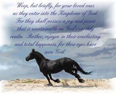Be there for them, especially i am writing this rest in peace message for grandmother as i feel sorry for your loss. 78 Grief Sympathy Ideas Sympathy Sympathy Quotes Sympathy Messages